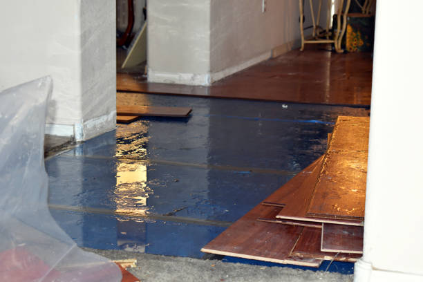 Professional Basement Flooding technician working in Hershey, PA